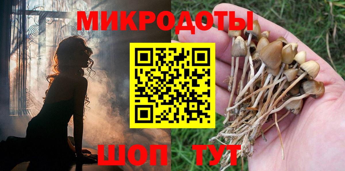 Галлюциногенные грибы Magic Shrooms  Псилоцибиновые грибы MAGIC MUSHROOMS  Вход с VPN  Зеленогорск 