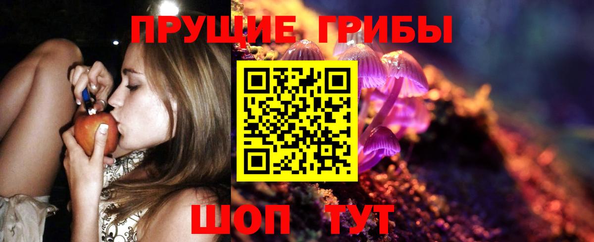 Псилоцибиновые грибы GOLDEN TEACHER Зеленогорск
