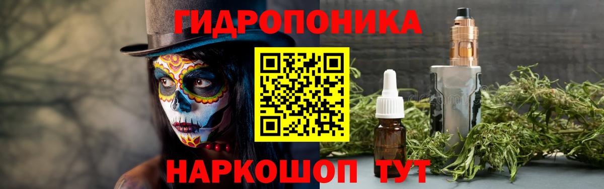 Марихуана Bruce Banner  Каннабис индика  Бошки Шишки планчик  Зеленогорск  Конопля ГИДРОПОН  Вход с VPN 